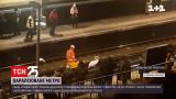 В лондонском метро спасали лебедя, парализовавшего движение поездов | Новости мира