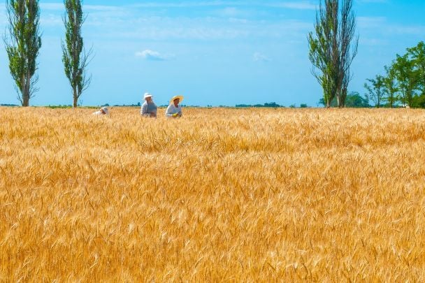 Вірші про Україну / © pixabay.com