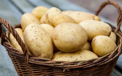 Как хранить картошку в квартире, погребе, чтобы она не проросла и неиспортилась — Разное