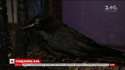 Мой путеводитель. Киев - поиски нечистой силы