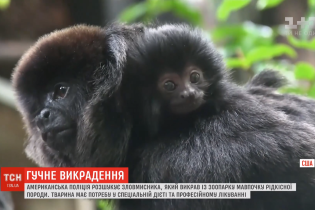 В зверинце Флориды прямо из клетки похитили редкую обезьянку