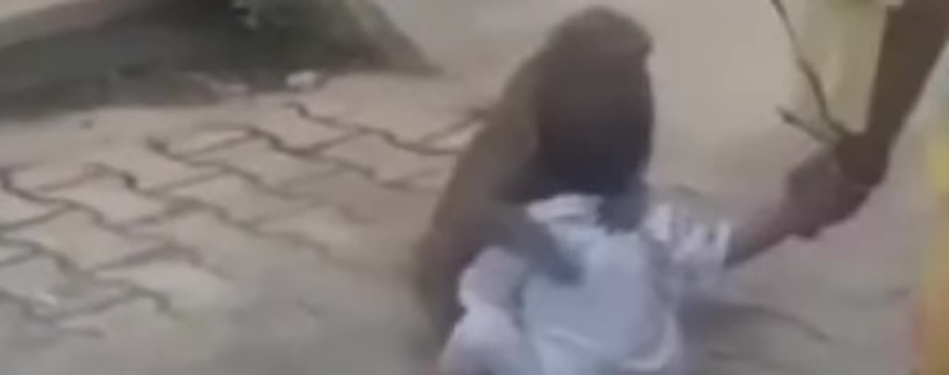 В Індії мавпа викрала хлопчика і не віддавала його