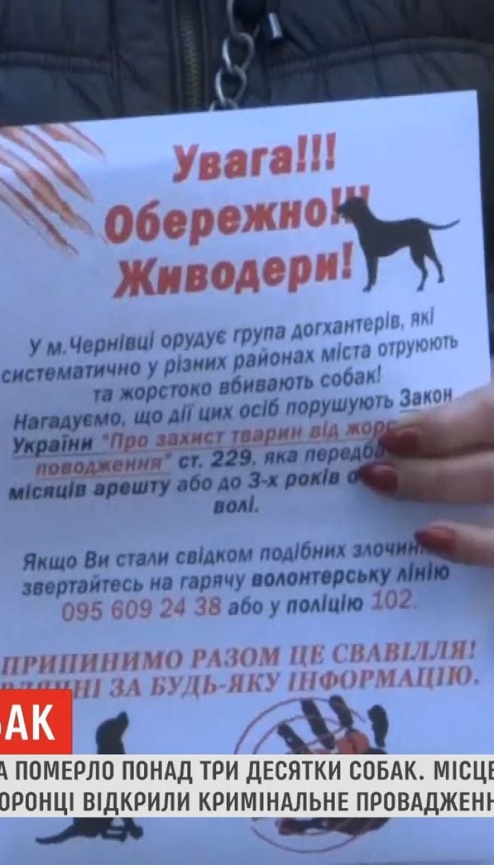 В одном из районов в Черновцах умерло более трех десятков собак