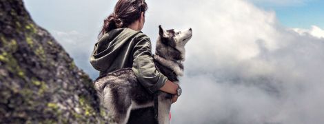 В Іспанії знайшли масове поховання собак – стародавні люди хотіли піти з чотирилапими у потойбічне життя