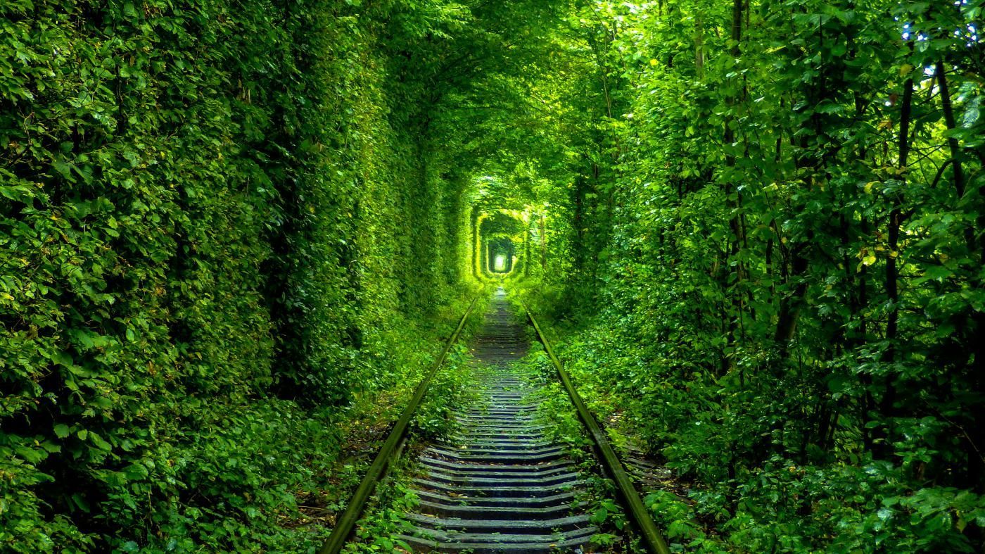 Тунель кохання (Клевань, Рівне)