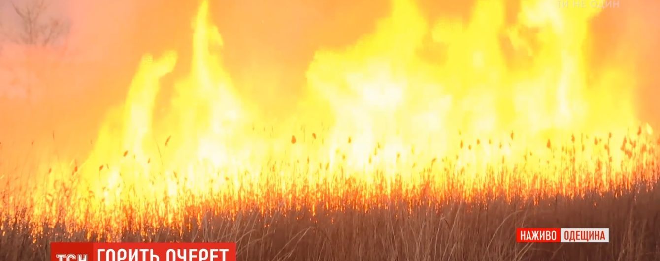 Под Одессой горят поля вблизи нефтеперерабатывающего завода