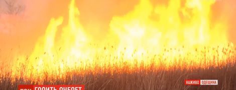 Под Одессой горят поля вблизи нефтеперерабатывающего завода