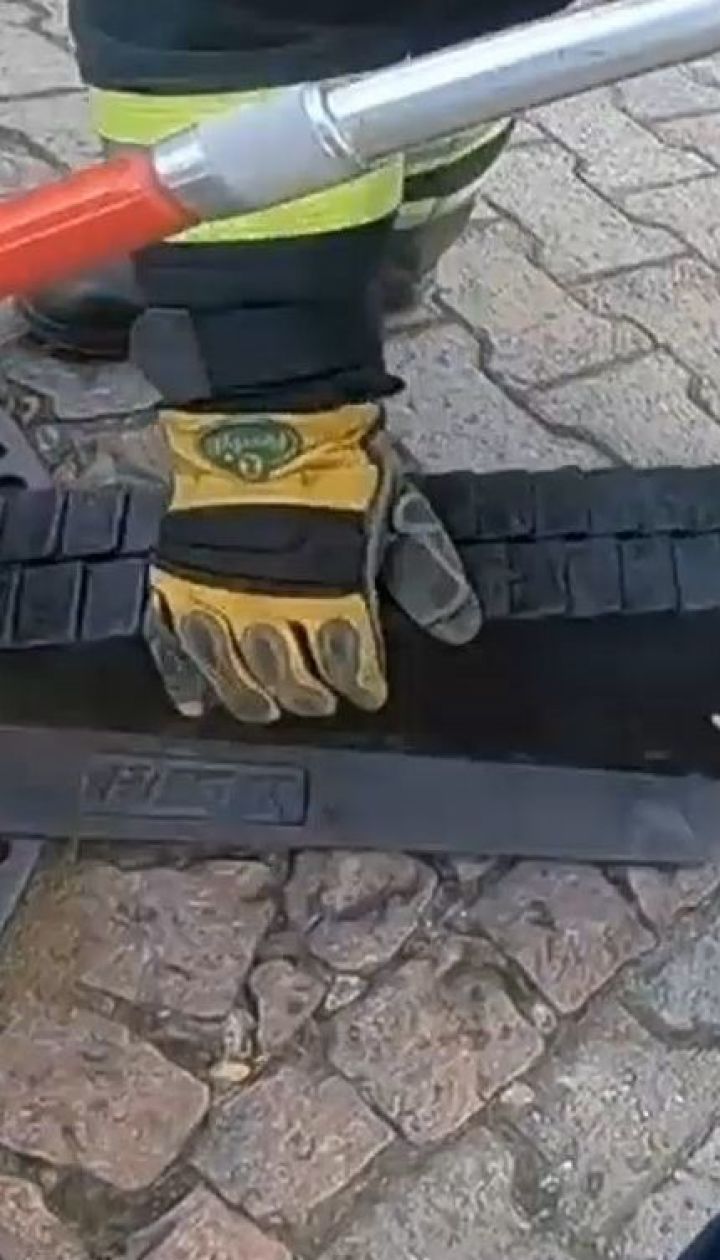 У Німеччині пожежники врятували гладкого щура, який застряг в люку