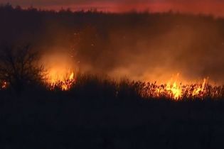Под Киевом горят поля, огонь подходит к жилым домам