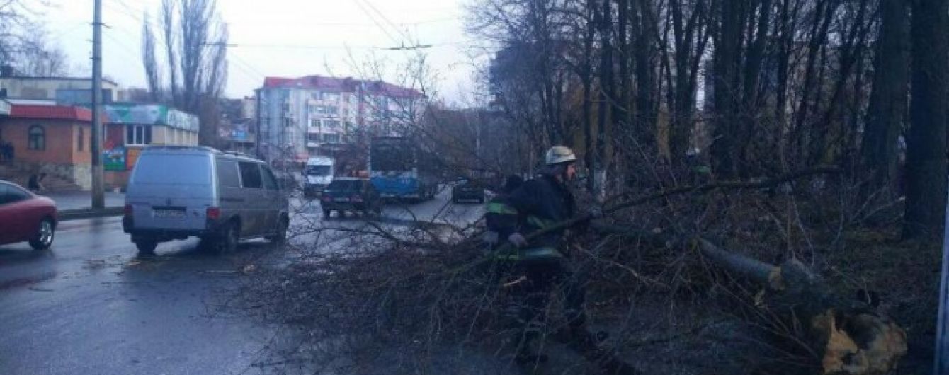 У Вінниці посеред вулиці дерево впало на дитину. Дівчинка загинула