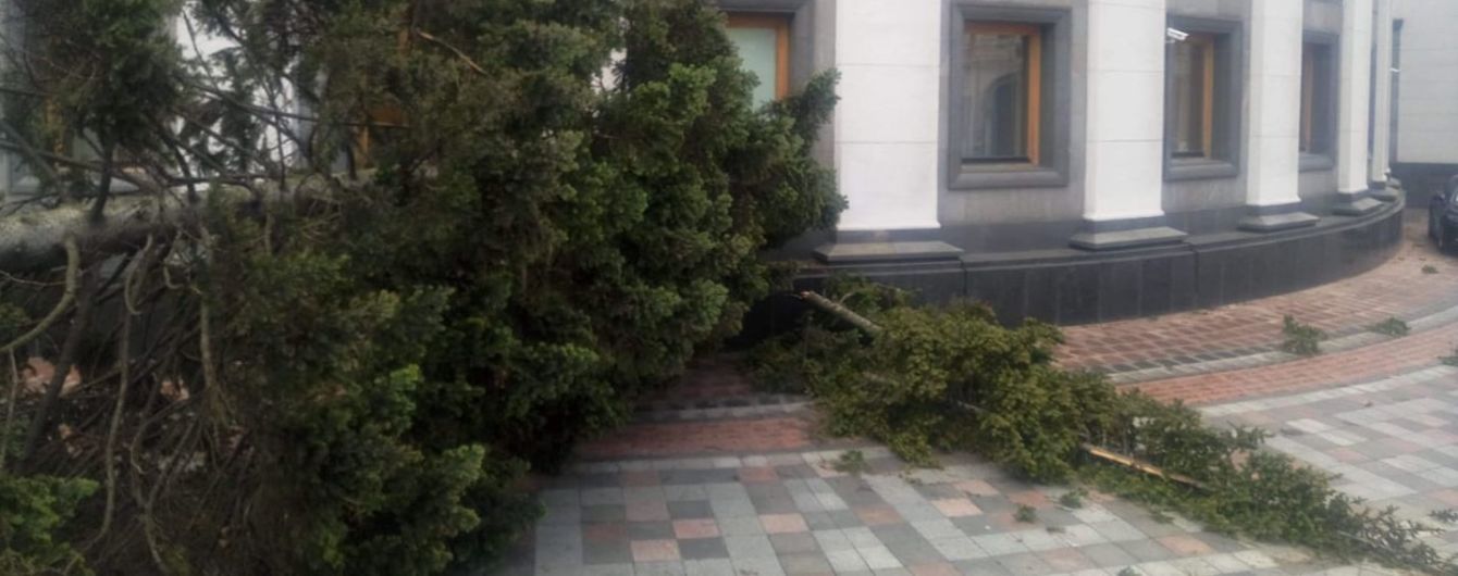 На Верховну Раду завалилась висока смерека і обдерла фасад будівлі