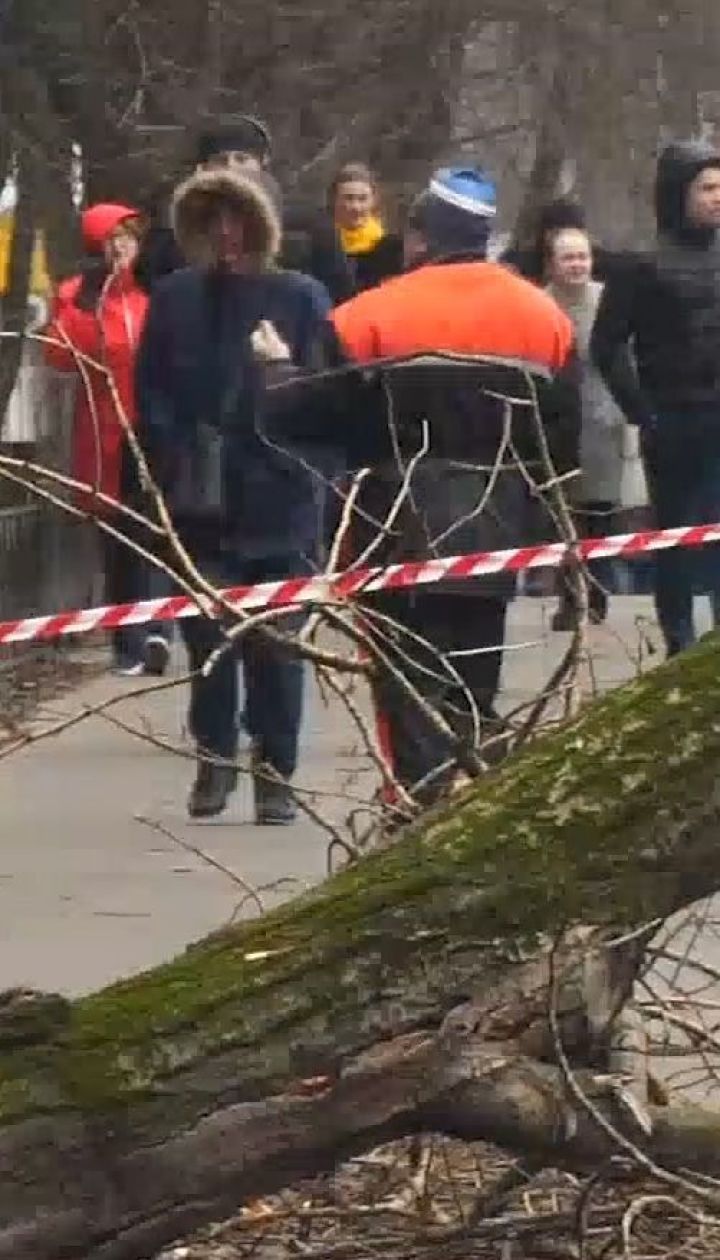 Наслідки буревію: хто має стежити за станом дерев у містах України