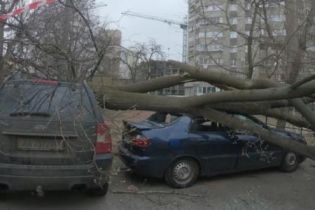 Ураган в Украине. Кто заплатит за поврежденное непогодой авто