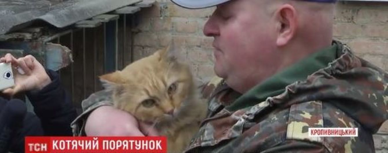 В Кропивницком почти две недели спасали кота, застрявшего в вентиляции