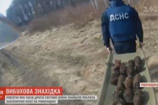 На Рівненщині рятувальники виявили десятки мін біля залізничних колій