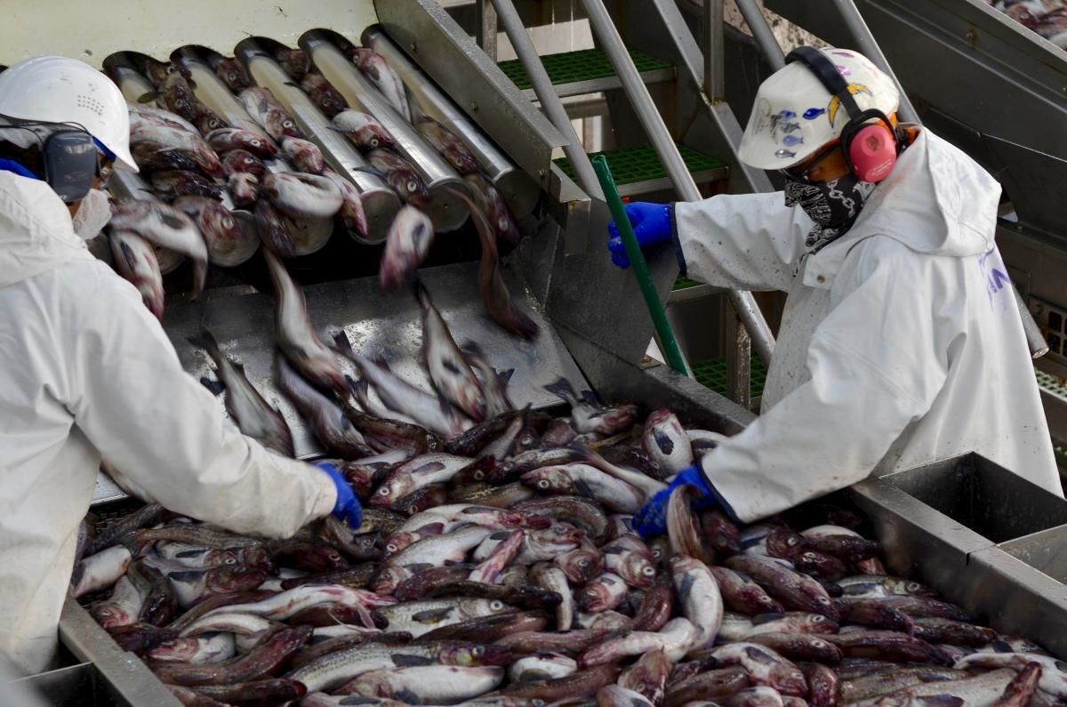 Інститут Маркетингу Морепродуктів Аляски_реклама