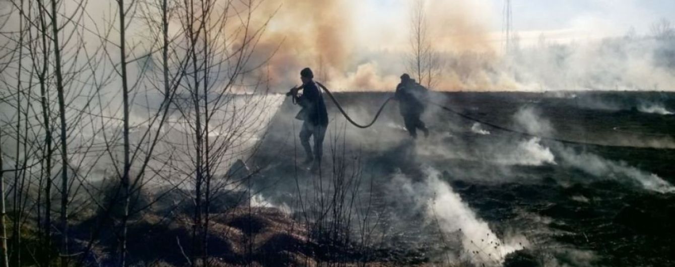 В крупнейшем парке Запорожья произошел масштабный пожар