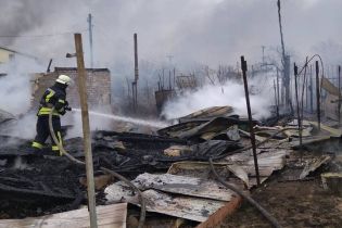 Пламя с подожженного камыша "съело" три дачи на Херсонщине