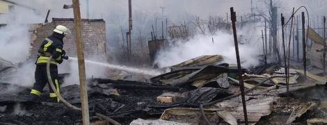 Пламя с подожженного камыша "съело" три дачи на Херсонщине
