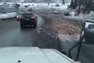 В российском городе водитель случайно выгрузил на дорогу тонны рыбных отходов