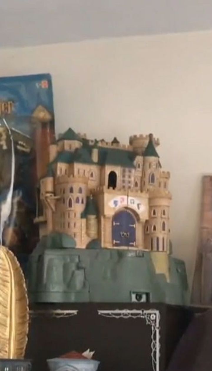 Британка потрапила у книгу рекордів Гіннеса за найбільшу колекцію речей, пов'язаних з Гаррі Поттером