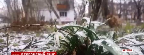 Прощальний поцілунок зими: Житомир засипало лапатим снігом