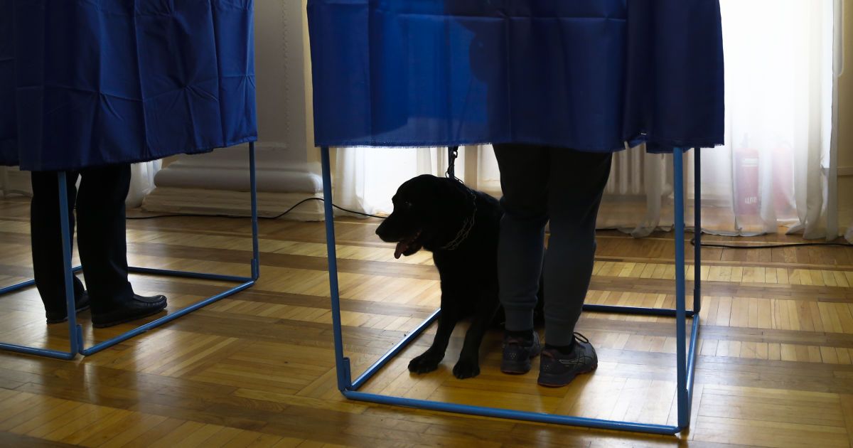 Выборы президента россии 2019 кандидаты картинки Выборы президента россии 2019 кандидаты картинки