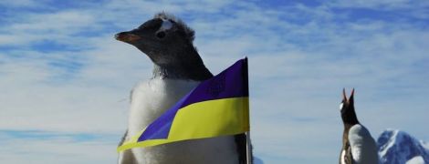До майбутньої української антарктичної експедиції відібрали 12 учасників