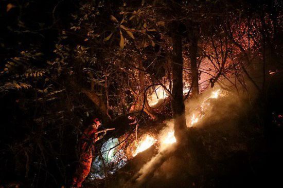 У Китаї в масштабній лісовій пожежі загинуло щонайменше 30 осіб
