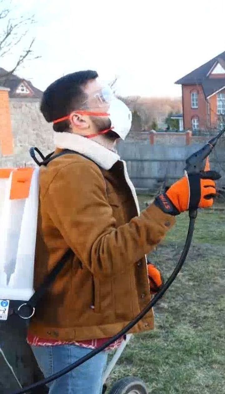 Защита садовых деревьев от вредителей - Весна на даче со Stihl