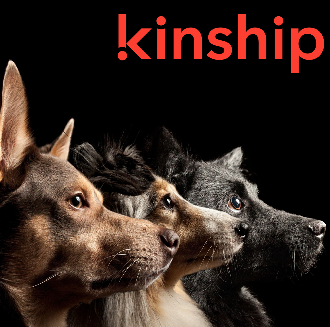 Kinship_реклама