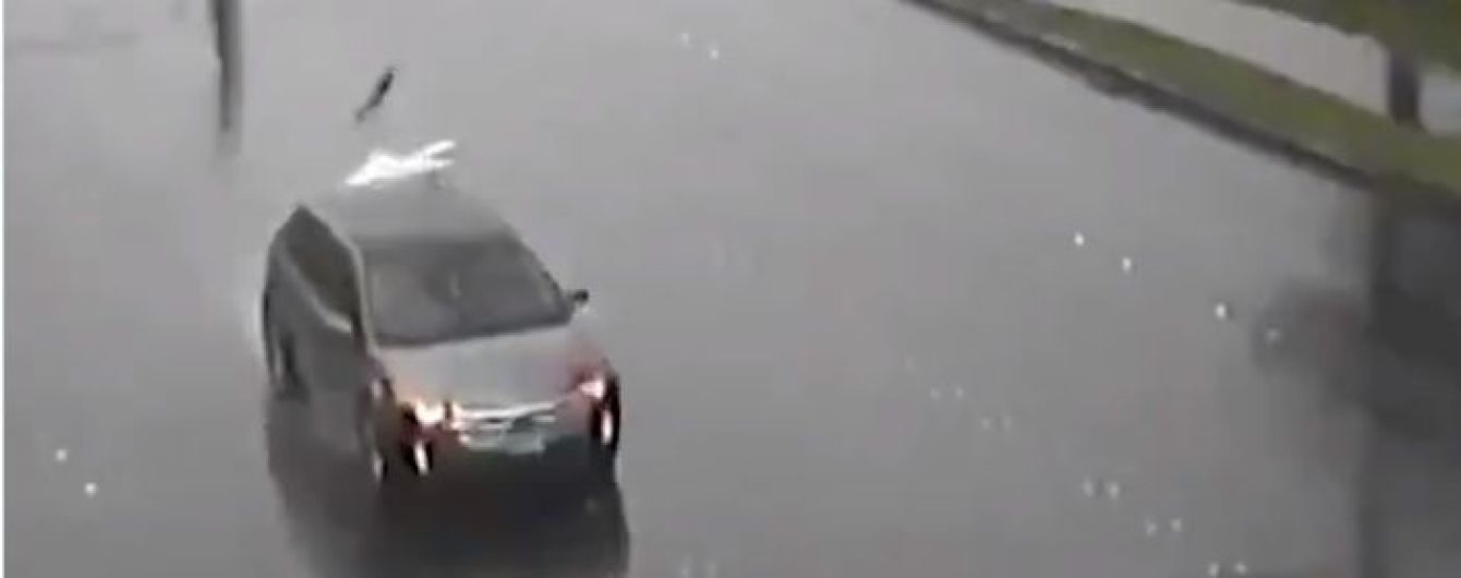 Жуткое видео: в США больше десятка электростолбов упали на дорогу и разбили ехавшую мимо машину