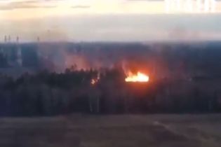 Возле Москвы масштабно вспыхнули леса - под угрозой национальный парк "Лосиный остров"
