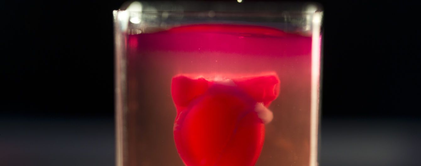 "Медицинский прорыв". Ученые впервые напечатали живое сердце на 3D-принтере