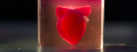"Медицинский прорыв". Ученые впервые напечатали живое сердце на 3D-принтере
