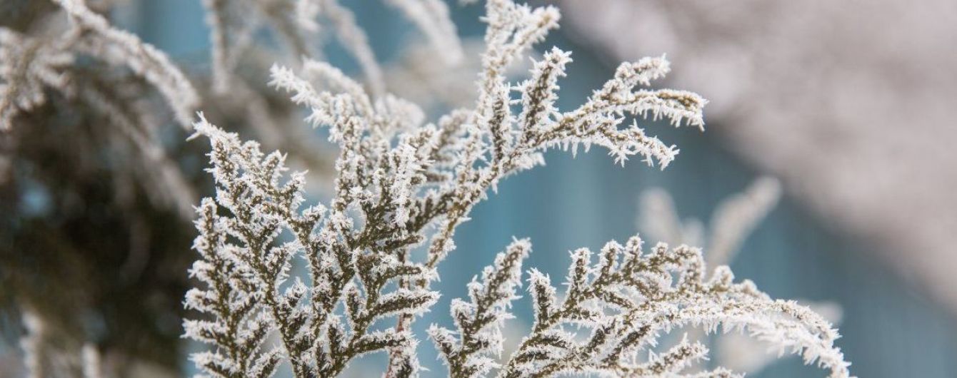 Після сильних заморозків в Україні буде до +20°. Прогноз погоди