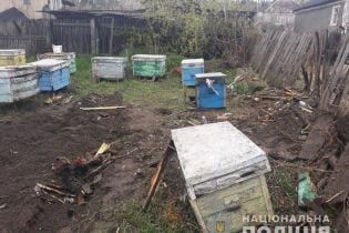 На Луганщине оккупанты обстреляли дома мирных жителей