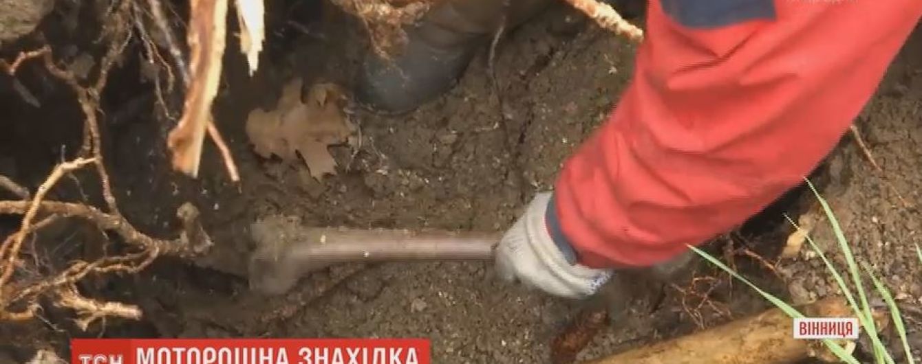В Виннице студенты нашли человеческие останки просто посреди парка