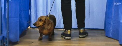 Вибори-2019: головні цифри другого туру в одній картинці