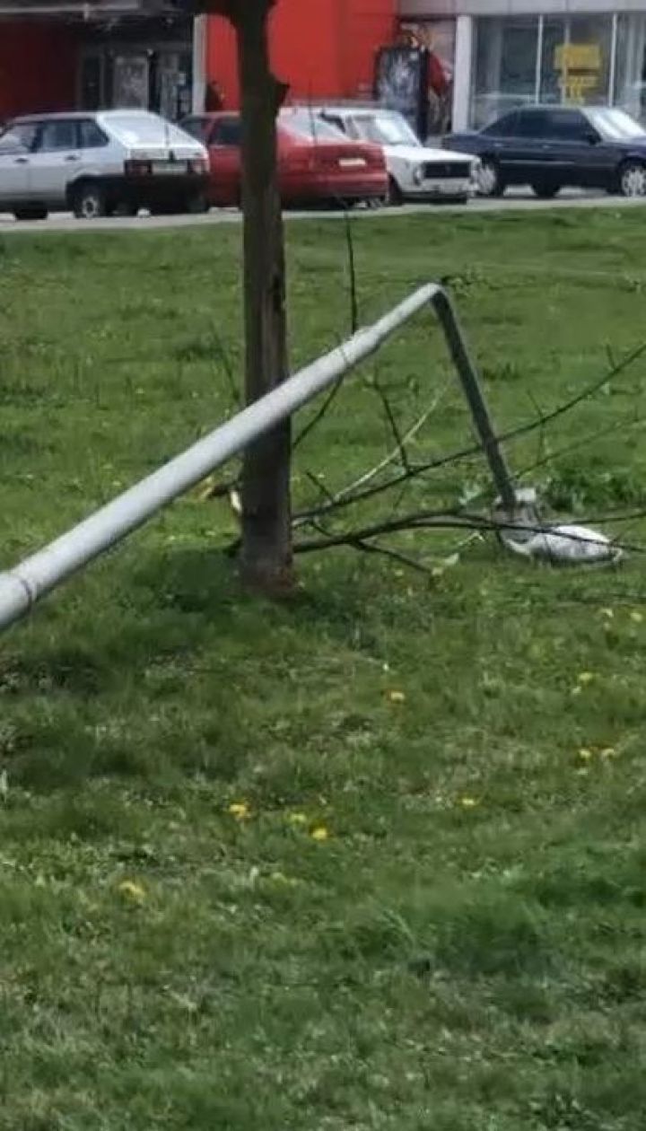 Во Львове на женщину упала опора уличного освещения