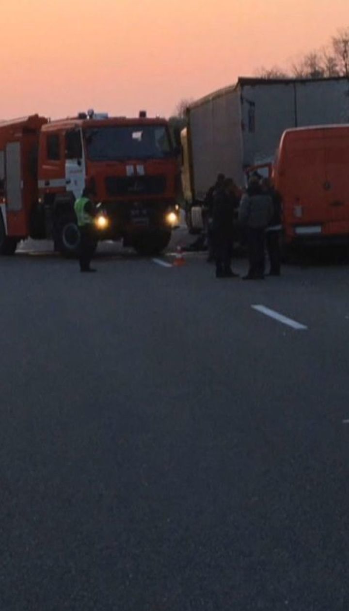 Вследствие двойной аварии на трассе Киев-Чоп погибли мужчина и лось