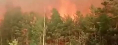 Огонь охватил один из крупнейших украинских заповедников