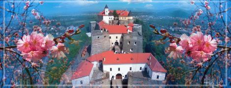 Секретный Ужгород — не только сакуры и вино, но и...