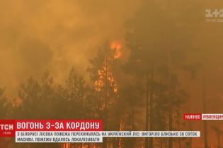 Небезпека з Білорусі: надзвичайники не дали лісовій пожежі масштабно перекинутись через кордон