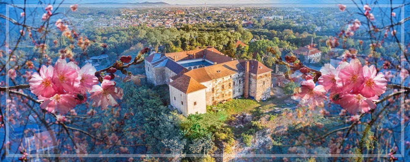 Секретный Ужгород — не только сакуры и вино, но и...