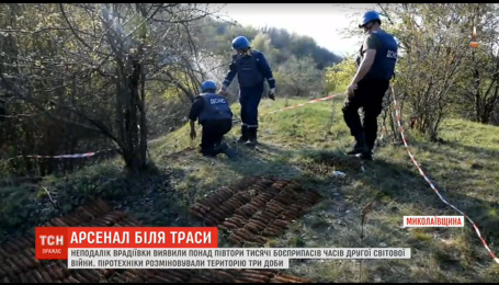 На Миколаївщині неподалік траси виявили арсенал боєприпасів