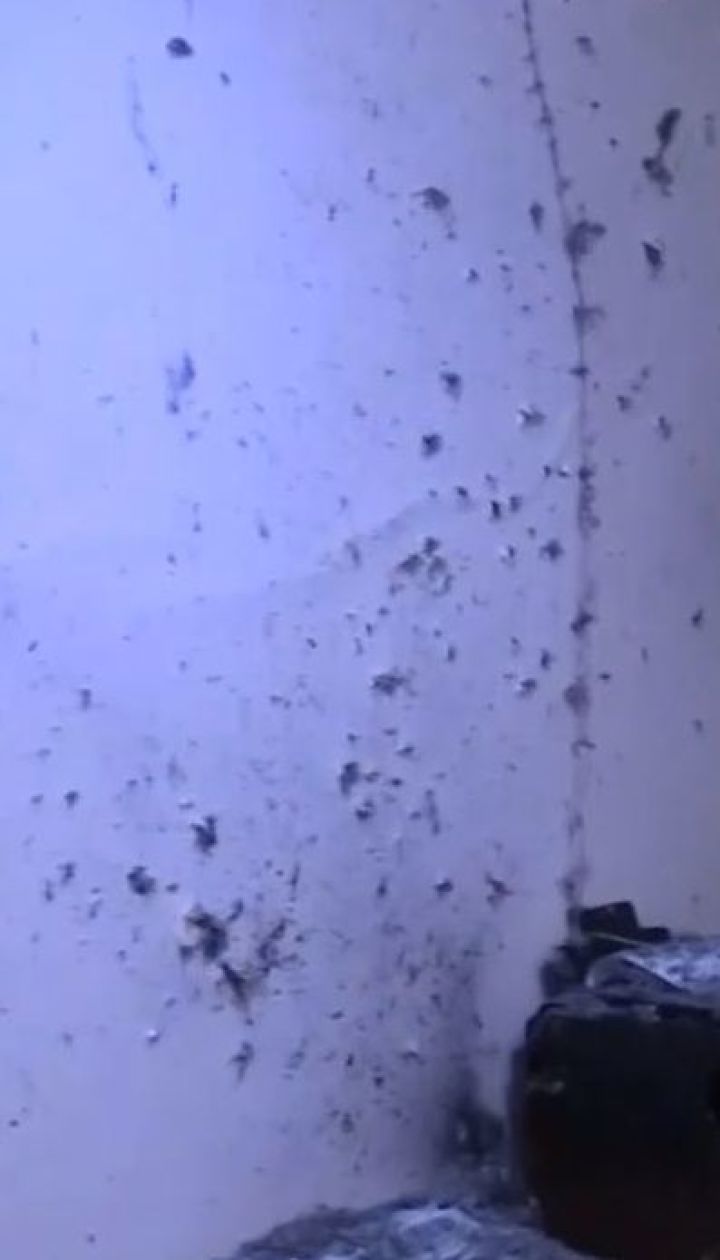 Поліція Києва з'ясовує, що спричинило вибух гранати в квартирі столичної багатоповерхівки
