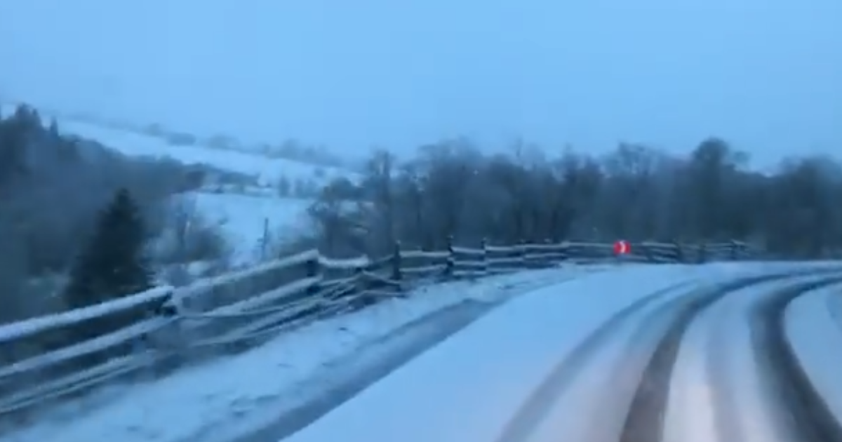 Карпати засипало травневим снігом