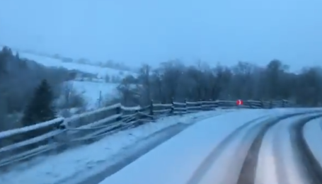Карпати засипало травневим снігом