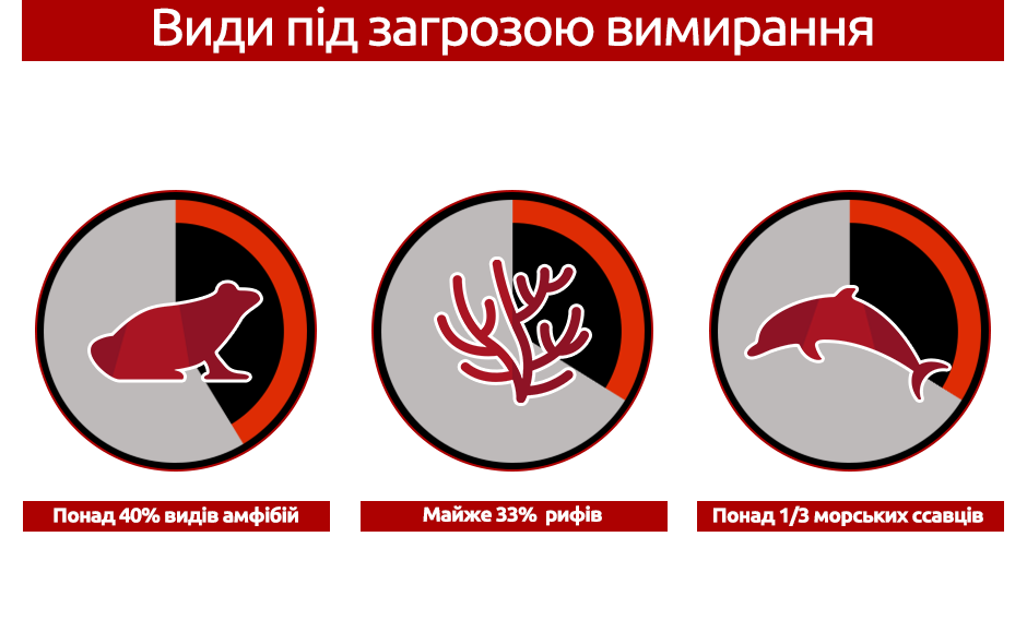 причини вимирання інфографіка 2